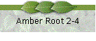 Amber Root 2-4