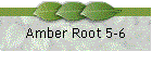 Amber Root 5-6