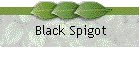 Black Spigot